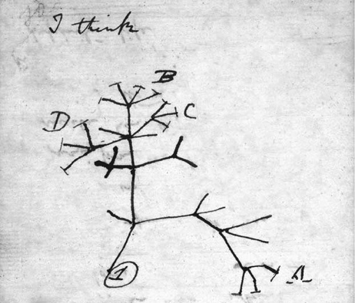 Иллюстрация к книге — Двигатели жизни. Как бактерии сделали наш мир обитаемым [i_002.jpg]