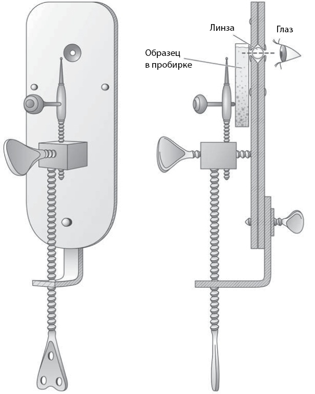 Иллюстрация к книге — Двигатели жизни. Как бактерии сделали наш мир обитаемым [i_005.jpg]