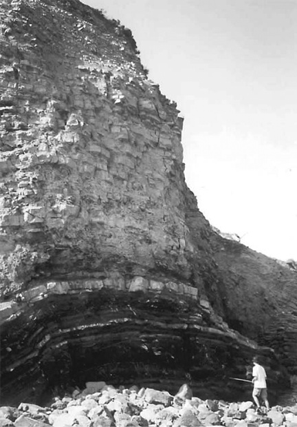 Иллюстрация к книге — Двигатели жизни. Как бактерии сделали наш мир обитаемым [i_019.jpg]