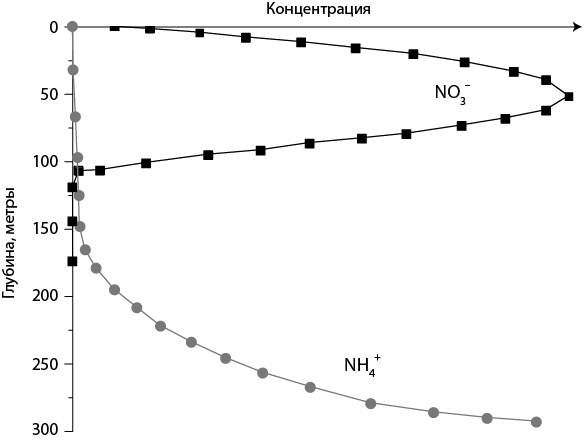 Иллюстрация к книге — Двигатели жизни. Как бактерии сделали наш мир обитаемым [i_020.jpg]
