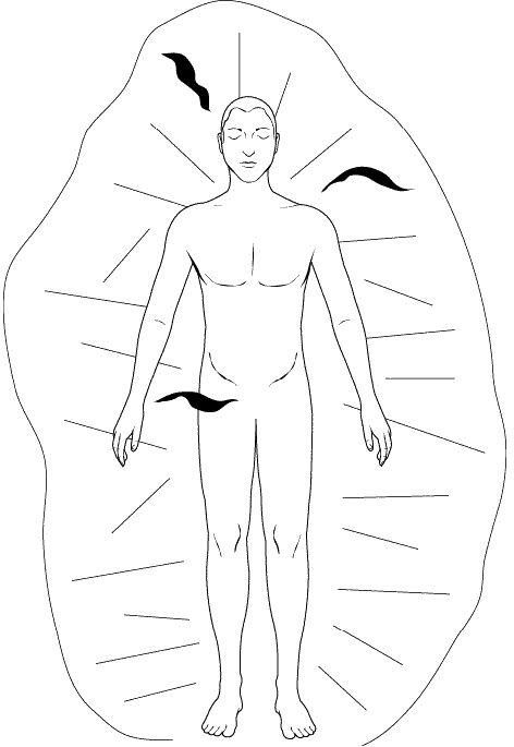 Иллюстрация к книге — Аура человека. Способы защиты и воздействия [_306.jpg]