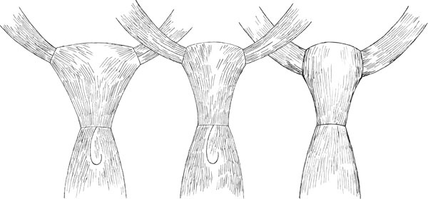 Иллюстрация к книге — Искусство быть настоящим мужчиной. Классические манеры и навыки для современных мужчин [_026.jpg]