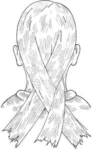 Иллюстрация к книге — Искусство быть настоящим мужчиной. Классические манеры и навыки для современных мужчин [_2112.jpg]