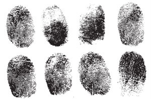 Иллюстрация к книге — Самый нужный тренажер для вашего мозга [i_037.jpg]