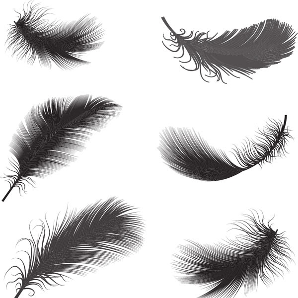 Иллюстрация к книге — Самый нужный тренажер для вашего мозга [i_043.jpg]