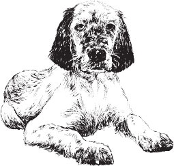 Иллюстрация к книге — Самый нужный тренажер для вашего мозга [i_045.jpg]