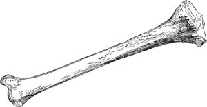 Иллюстрация к книге — Самый нужный тренажер для вашего мозга [i_067.jpg]