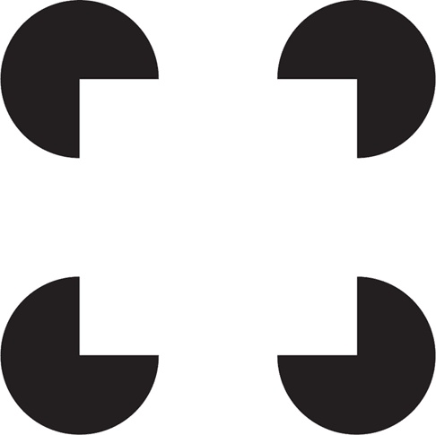 Иллюстрация к книге — Иллюзия "Я", или Игры, в которые играет с нами мозг [i_001.jpg]