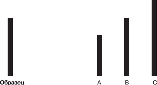 Иллюстрация к книге — Иллюзия "Я", или Игры, в которые играет с нами мозг [i_007.jpg]