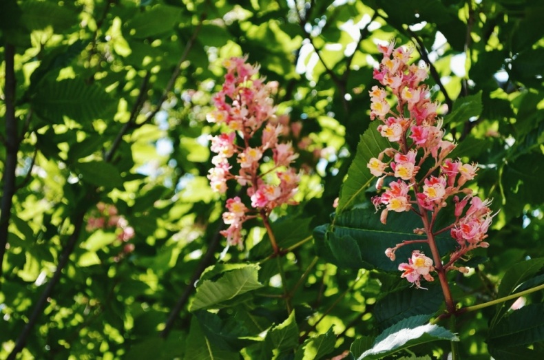 Иллюстрация к книге — ПритяЖЕНственность благополучия [image2_55d34ec97042c1557e9720fb_jpg.jpg]