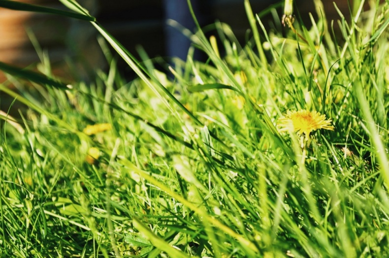 Иллюстрация к книге — ПритяЖЕНственность благополучия [image5_55d356567042c1557e9722fe_jpg.jpg]