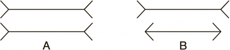 Иллюстрация к книге — Рисовый штурм и еще 21 способ мыслить нестандартно [i_028.jpg]