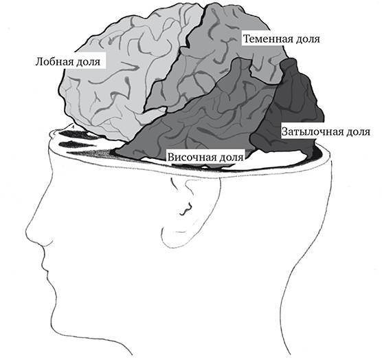Иллюстрация к книге — Момент истины. Почему мы ошибаемся, когда все поставлено на карту, и что с этим делать? [_1.jpg]