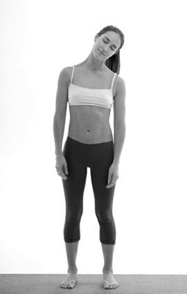 Иллюстрация к книге — Зарядись для эффективной жизни! Как улучшить свое здоровье, повысить тонус и качество жизни [i_007.jpg]