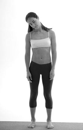 Иллюстрация к книге — Зарядись для эффективной жизни! Как улучшить свое здоровье, повысить тонус и качество жизни [i_009.jpg]