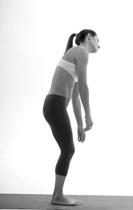 Иллюстрация к книге — Зарядись для эффективной жизни! Как улучшить свое здоровье, повысить тонус и качество жизни [i_013.jpg]