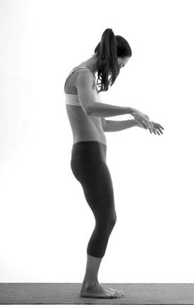 Иллюстрация к книге — Зарядись для эффективной жизни! Как улучшить свое здоровье, повысить тонус и качество жизни [i_015.jpg]