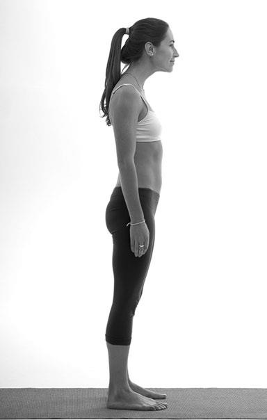 Иллюстрация к книге — Зарядись для эффективной жизни! Как улучшить свое здоровье, повысить тонус и качество жизни [i_025.jpg]