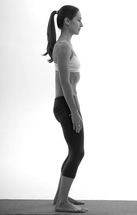 Иллюстрация к книге — Зарядись для эффективной жизни! Как улучшить свое здоровье, повысить тонус и качество жизни [i_028.jpg]