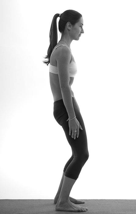 Иллюстрация к книге — Зарядись для эффективной жизни! Как улучшить свое здоровье, повысить тонус и качество жизни [i_029.jpg]