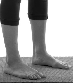 Иллюстрация к книге — Зарядись для эффективной жизни! Как улучшить свое здоровье, повысить тонус и качество жизни [i_050.jpg]