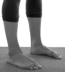 Иллюстрация к книге — Зарядись для эффективной жизни! Как улучшить свое здоровье, повысить тонус и качество жизни [i_051.jpg]