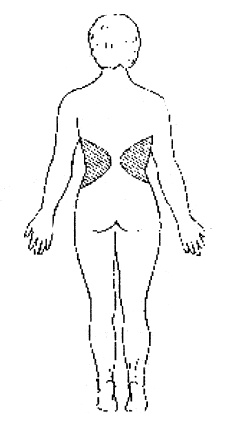 Иллюстрация к книге — Сила духа [i_009.jpg]