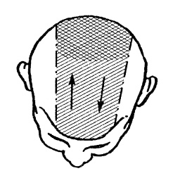 Иллюстрация к книге — Сила духа [i_012.jpg]