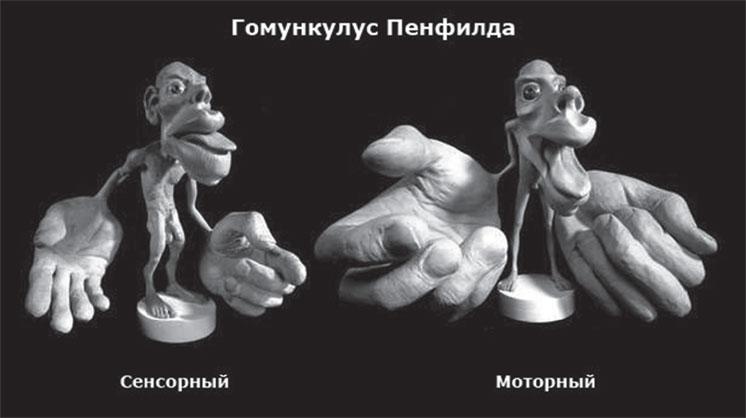 Иллюстрация к книге — Фаза. Взламывая иллюзию реальности [_33.jpg]