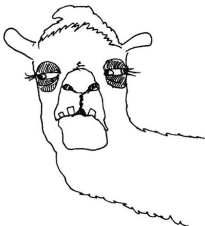 Иллюстрация к книге — 50 правил умной дуры [i_004.jpg]