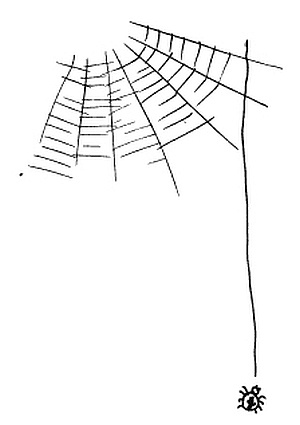 Иллюстрация к книге — 50 правил умной дуры [i_021.jpg]