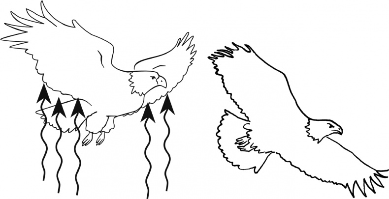 Иллюстрация к книге — Достигатор. Как легко достигать своих целей, или Инструкция о том, как легко превратиться в HOMO летающего [Autogen_eBook_id1.jpg]