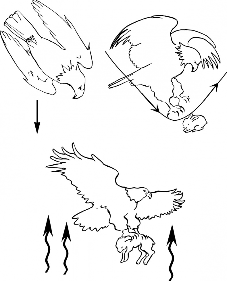 Иллюстрация к книге — Достигатор. Как легко достигать своих целей, или Инструкция о том, как легко превратиться в HOMO летающего [Autogen_eBook_id2.jpg]