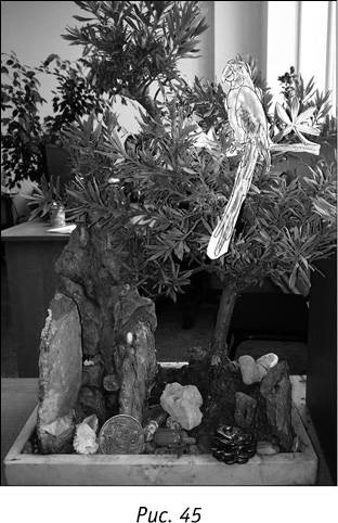 Иллюстрация к книге — Код Феникса. Как изменить свою жизнь за 3 месяца [i_080.jpg]