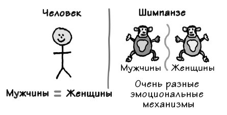 Иллюстрация к книге — Парадокс Шимпанзе. Менеджмент мозга [i_022.jpg]