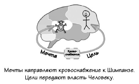 Иллюстрация к книге — Парадокс Шимпанзе. Менеджмент мозга [i_107.jpg]