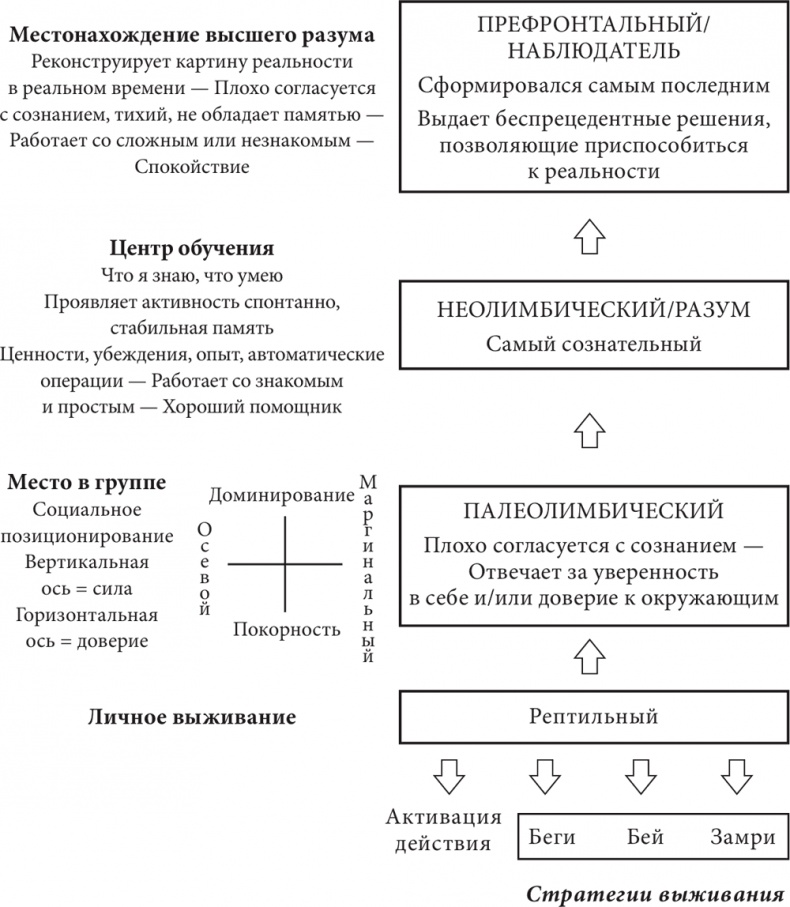 Иллюстрация к книге — Бизнес и Трансерфинг. Нейро-квантовый метод успеха [i_004.jpg]