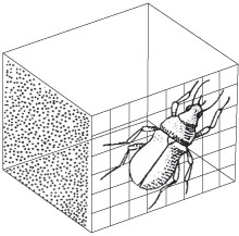 Иллюстрация к книге — Взлом креатива. Как увидеть то, что не видят другие [i_014.jpg]