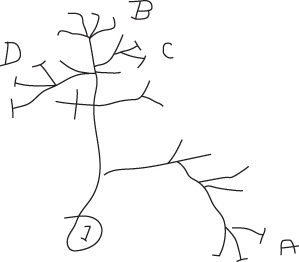 Иллюстрация к книге — Взлом креатива. Как увидеть то, что не видят другие [i_018.jpg]
