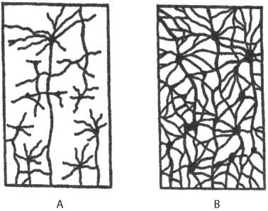 Иллюстрация к книге — Взлом креатива. Как увидеть то, что не видят другие [i_042.jpg]