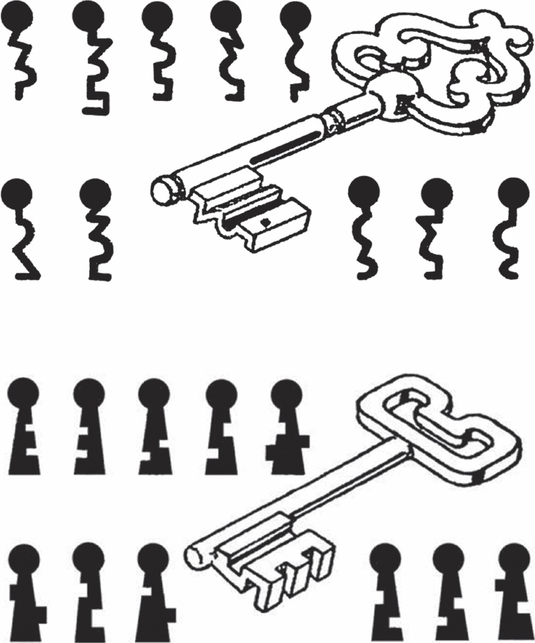 Иллюстрация к книге — Мозг от всех болезней [_43.jpg]