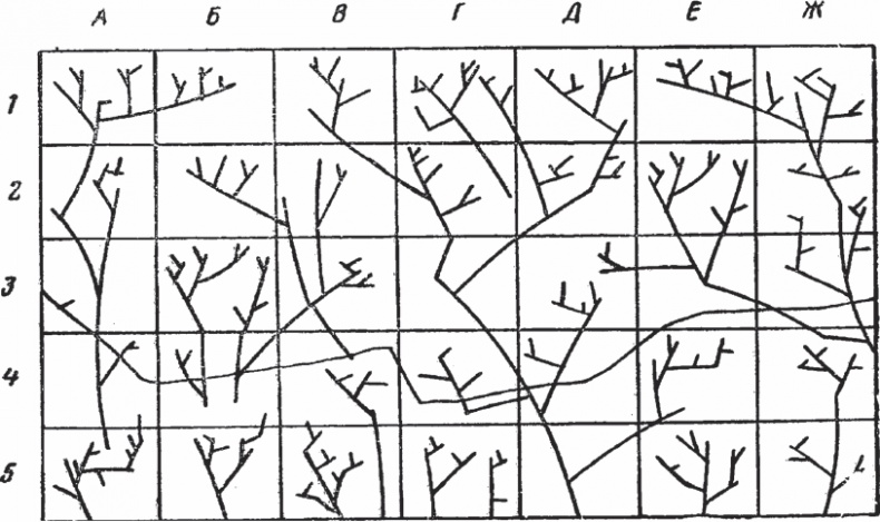 Иллюстрация к книге — Мозг от всех болезней [_46.jpg]