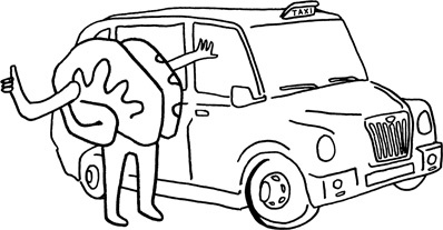 Иллюстрация к книге — Мозг: краткое руководство. Все, что вам нужно знать для повышения эффективности и снижения стресса [i_003.jpg]