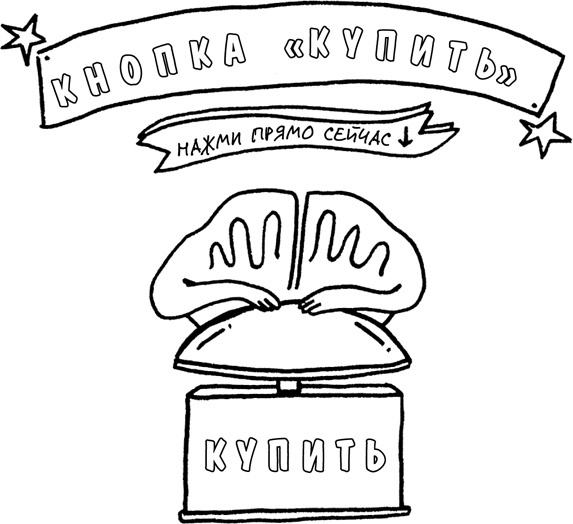 Иллюстрация к книге — Мозг: краткое руководство. Все, что вам нужно знать для повышения эффективности и снижения стресса [i_027.jpg]