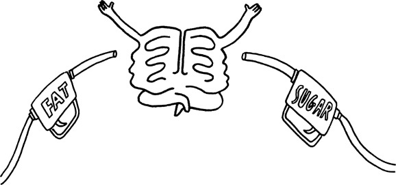 Иллюстрация к книге — Мозг: краткое руководство. Все, что вам нужно знать для повышения эффективности и снижения стресса [i_029.jpg]