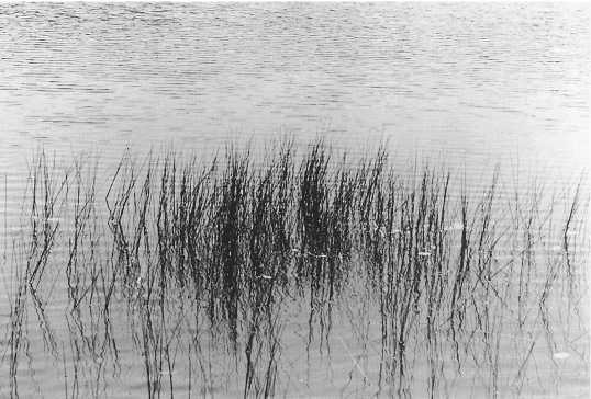 Иллюстрация к книге — Истинное восприятие. Путь дхармического искусства [i_014.jpg]