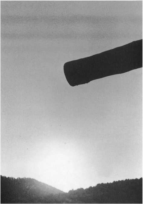 Иллюстрация к книге — Истинное восприятие. Путь дхармического искусства [i_018.jpg]