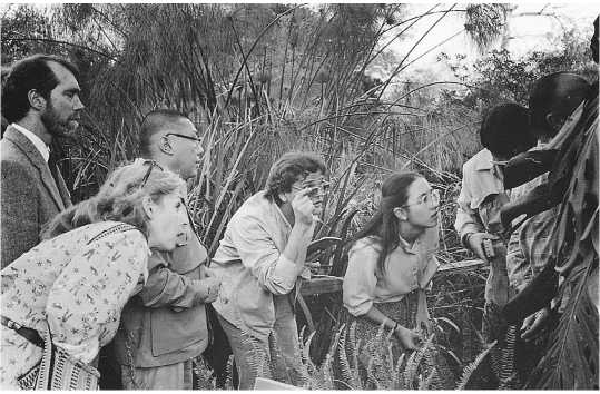 Иллюстрация к книге — Истинное восприятие. Путь дхармического искусства [i_021.jpg]