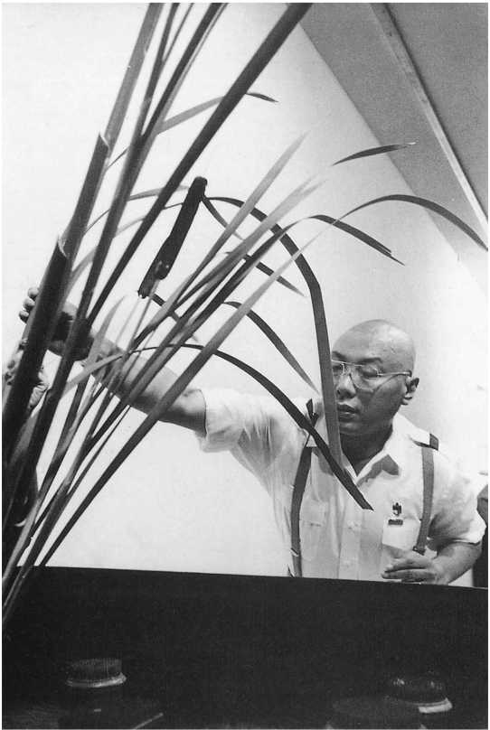 Иллюстрация к книге — Истинное восприятие. Путь дхармического искусства [i_027.jpg]