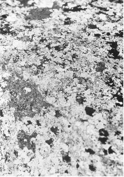 Иллюстрация к книге — Истинное восприятие. Путь дхармического искусства [i_028.jpg]